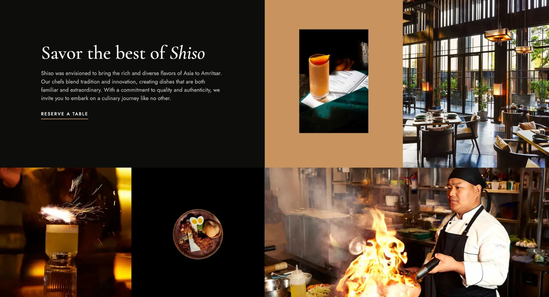Shiso Gallery 2